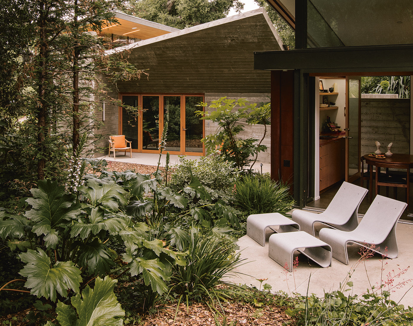 A Mid-Century Home Garden Finds Its Wild Roots