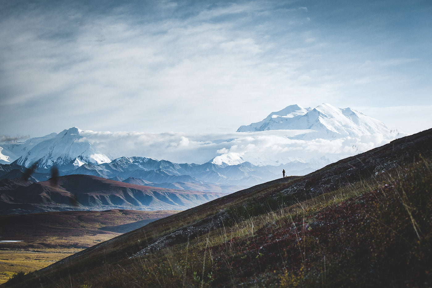 Inside Alaska’s Last Wild Frontier Denali National Park