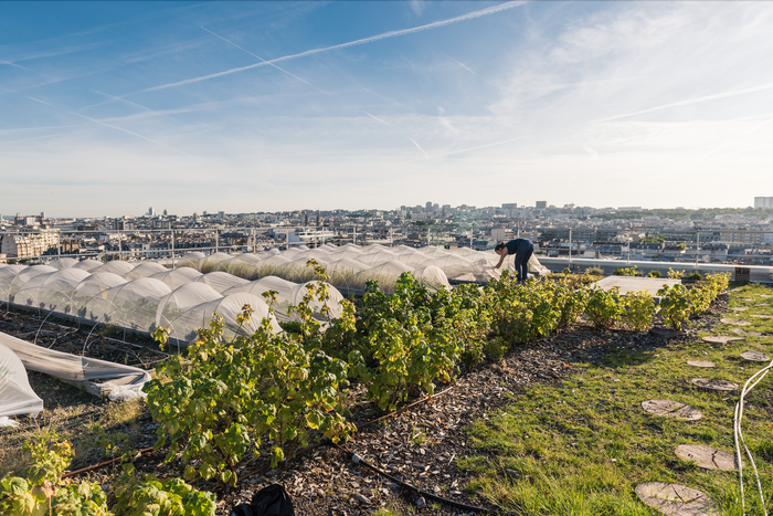 The Future of Sustainability, Books to Build a Better Tomorrow