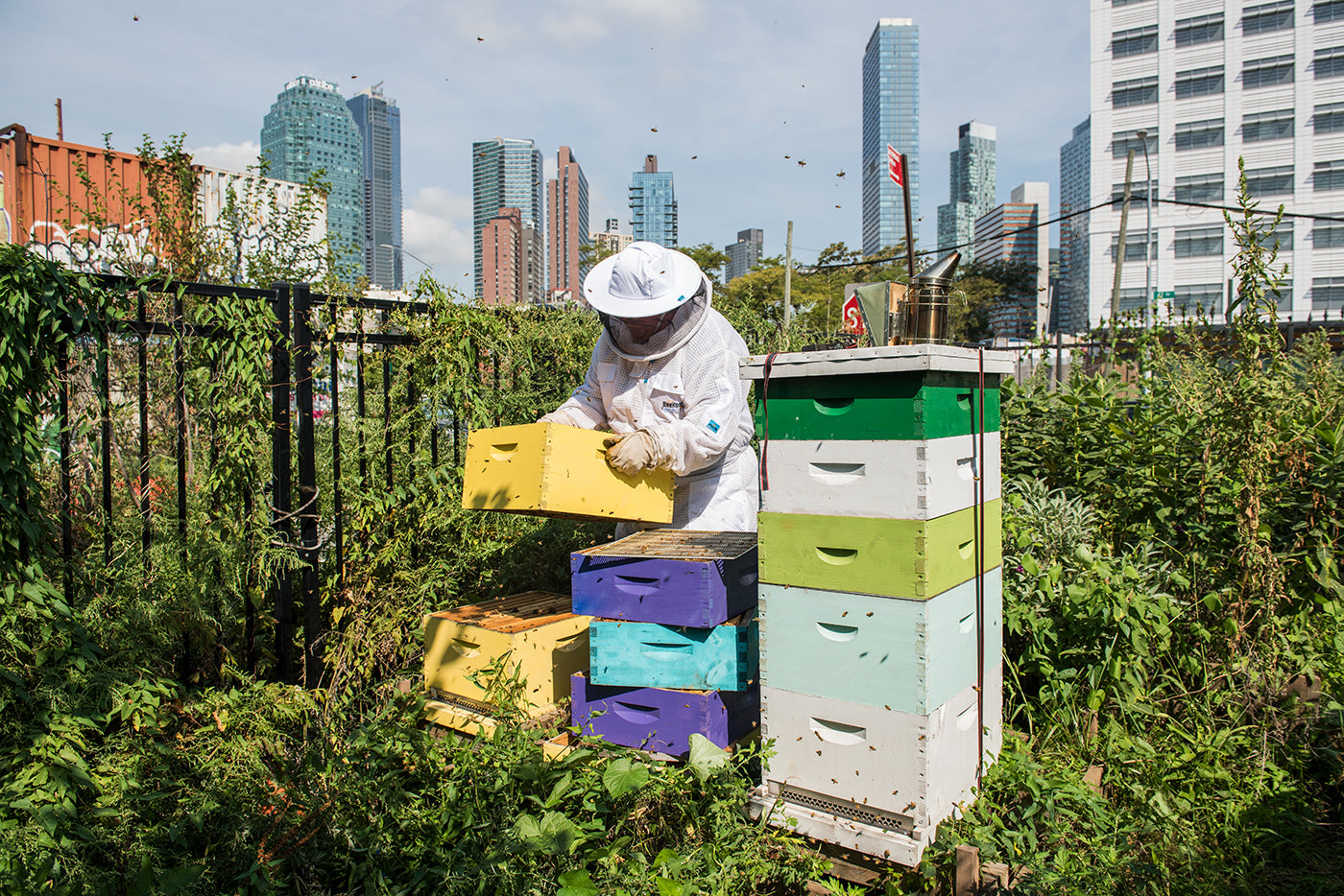 Urban Farmers: The New Crop of Growers
