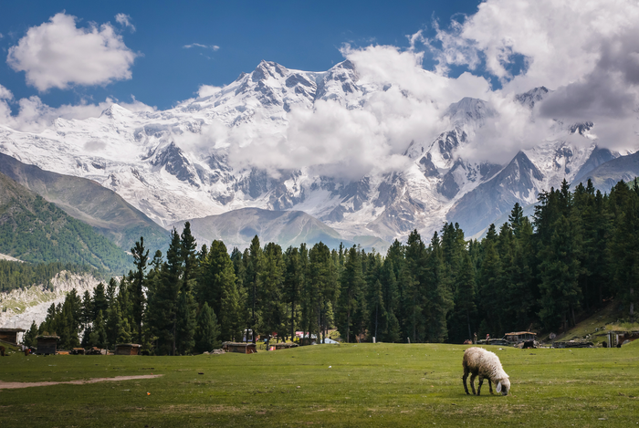 Cam Honan's Guide To The Himalaya