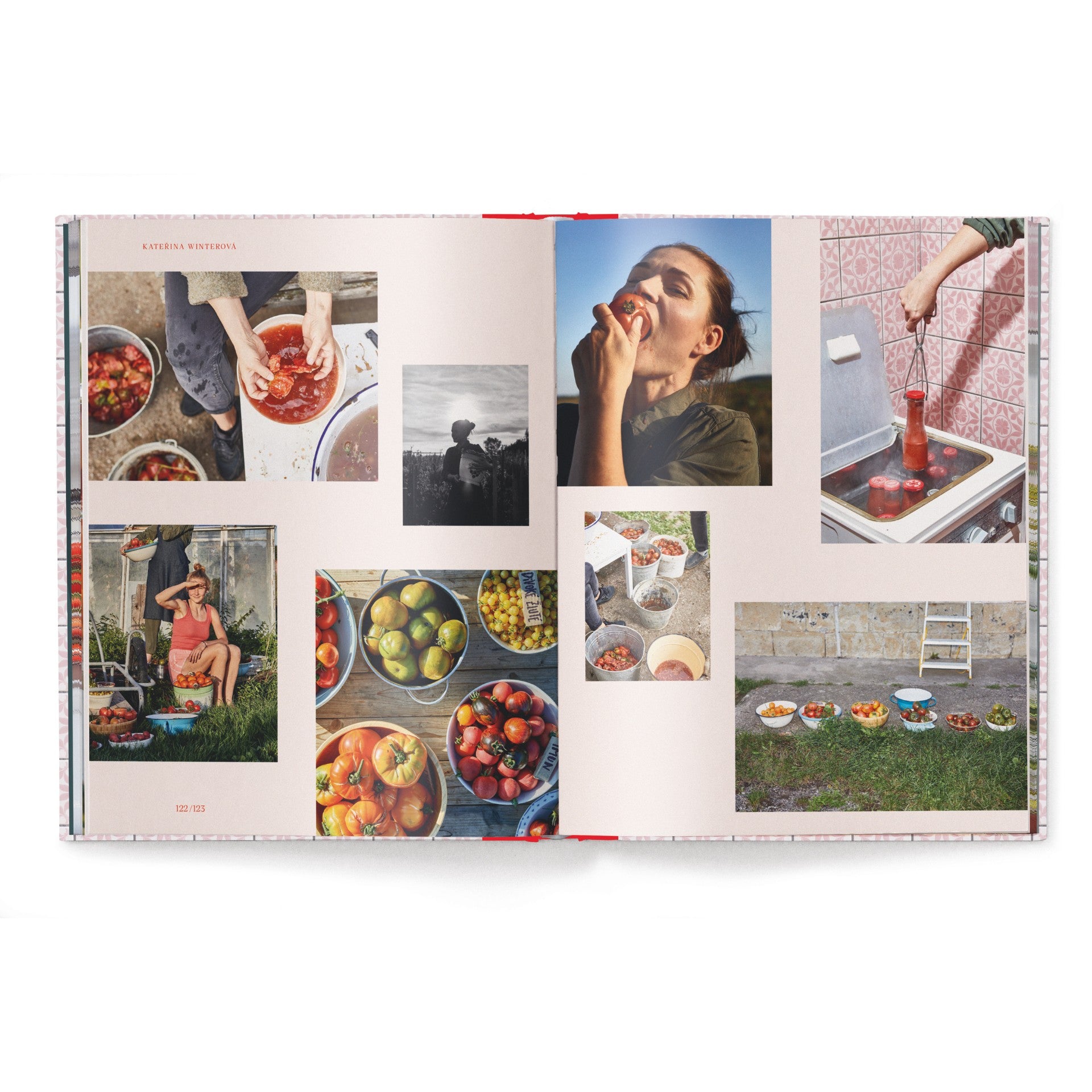 God is a Pickle (Deutsche Ausgabe)