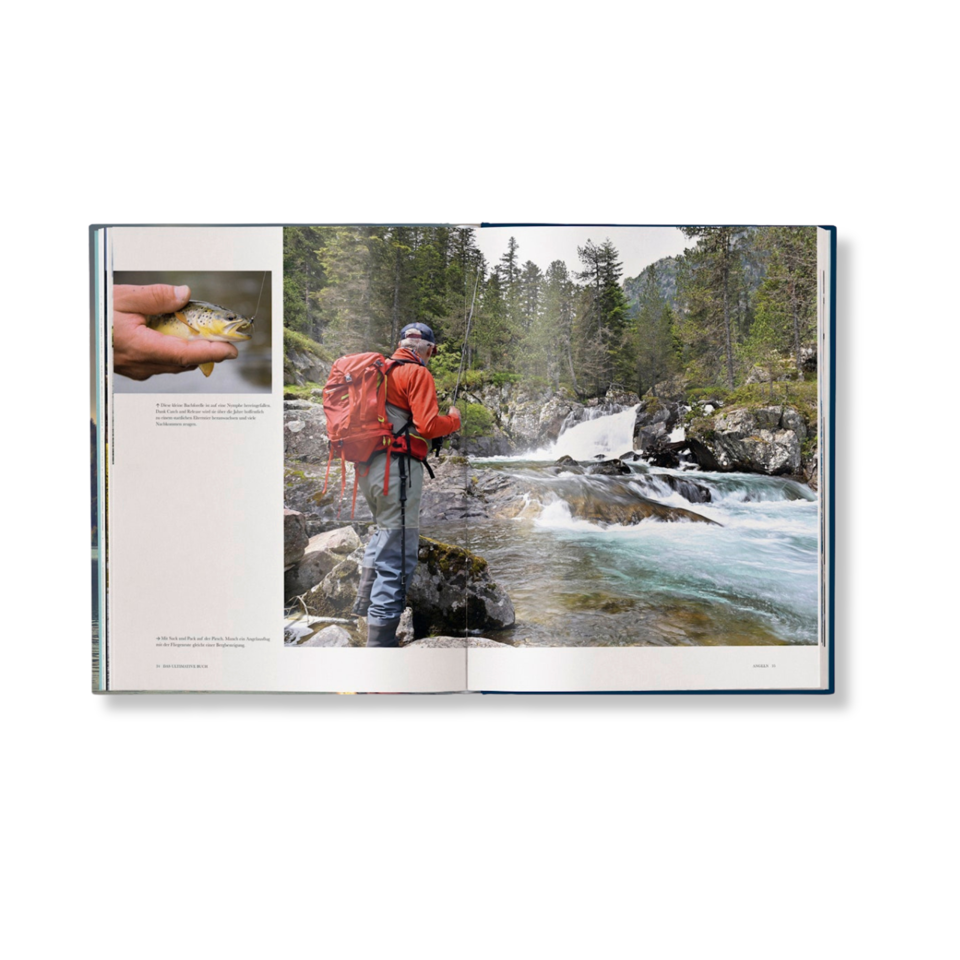 Angeln: Das ultimative Buch