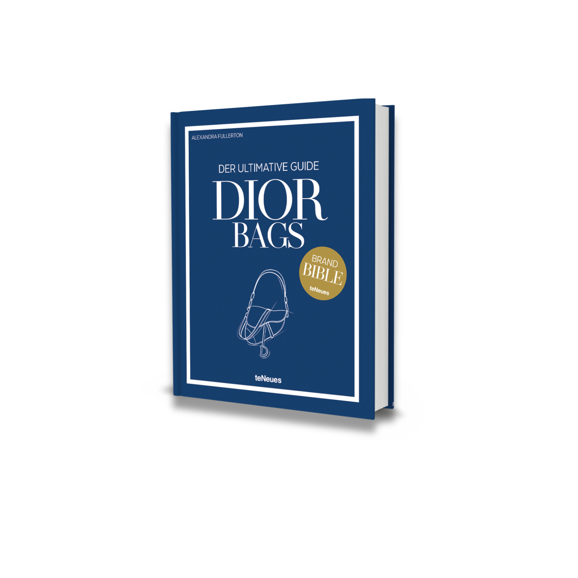 Dior Bags: Der ultimative Guide
