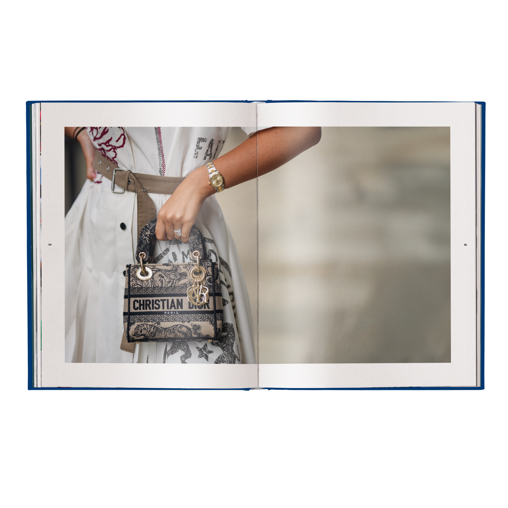 Dior Bags: Der ultimative Guide