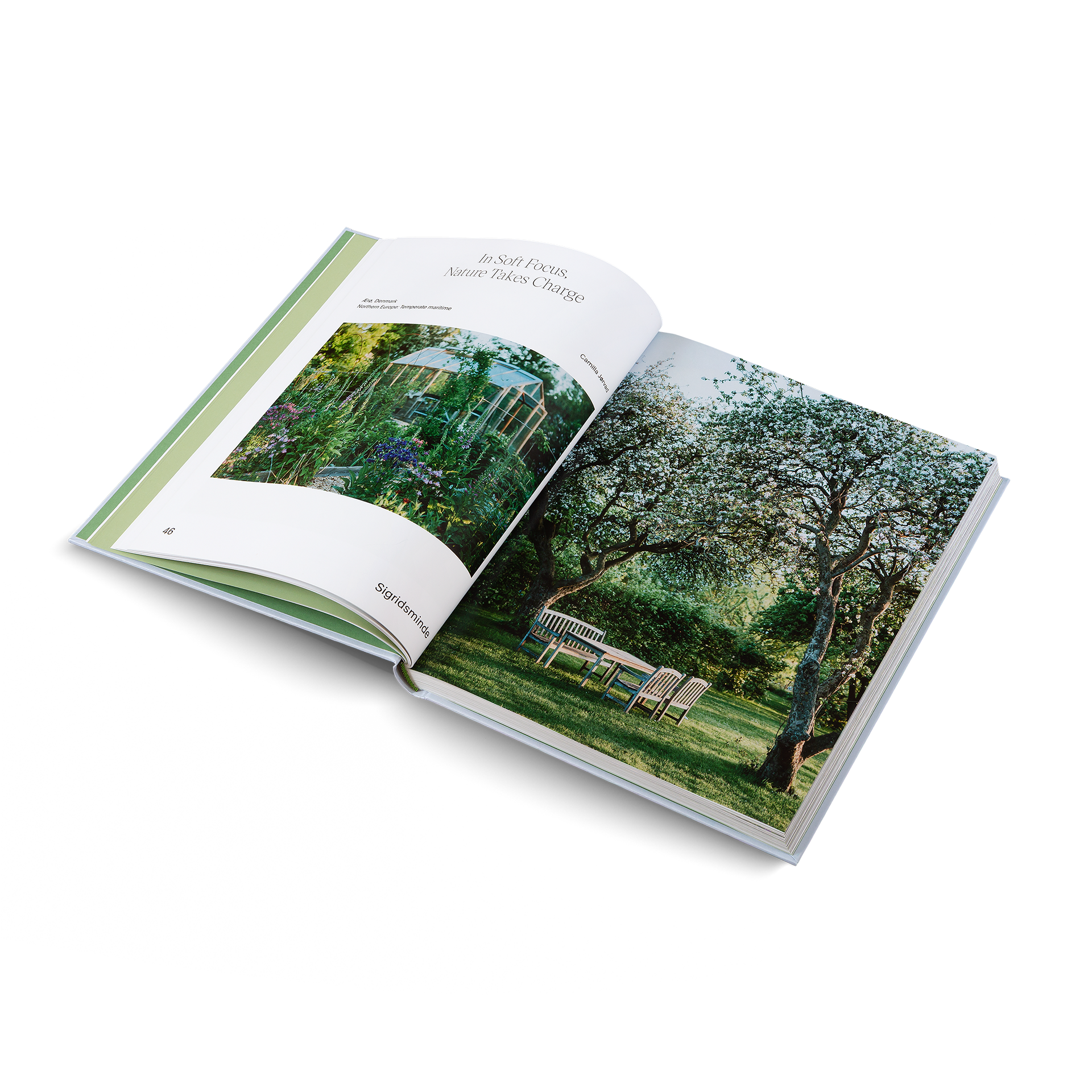 Cottagecore Gardens