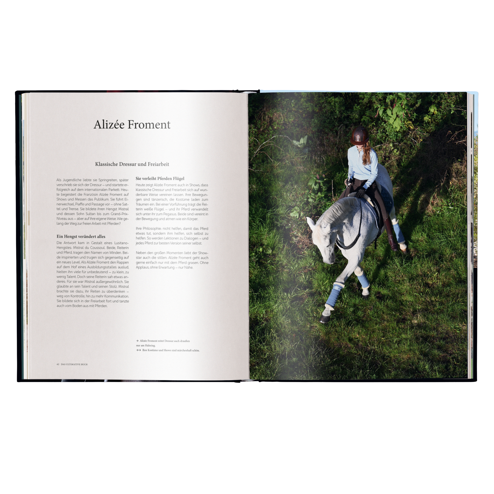 Reiten: Das ultimative Buch