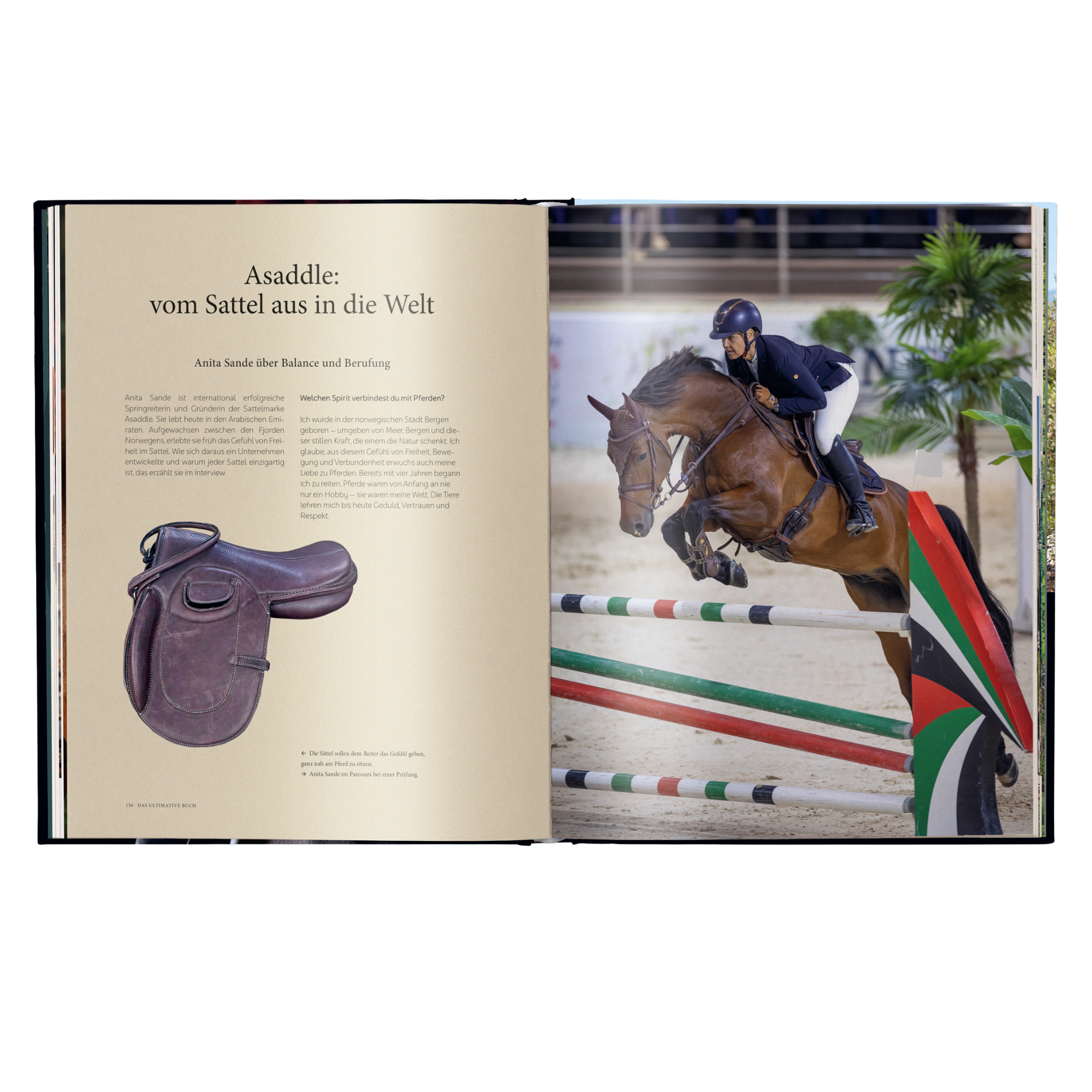 Reiten: Das ultimative Buch