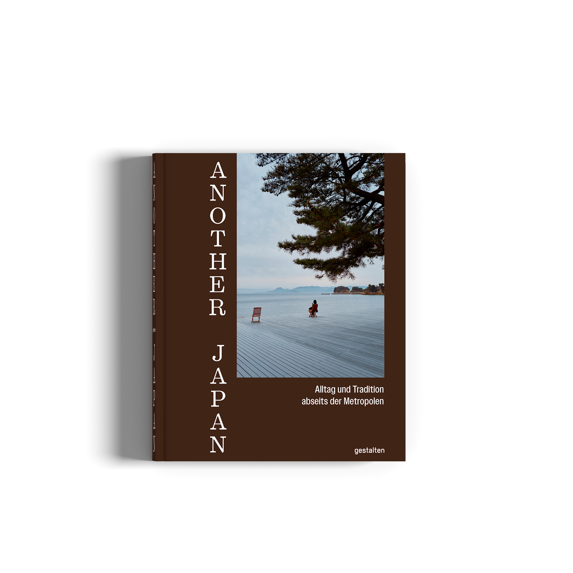Book cover of 'Another Japan' with a scenic image and brown border.