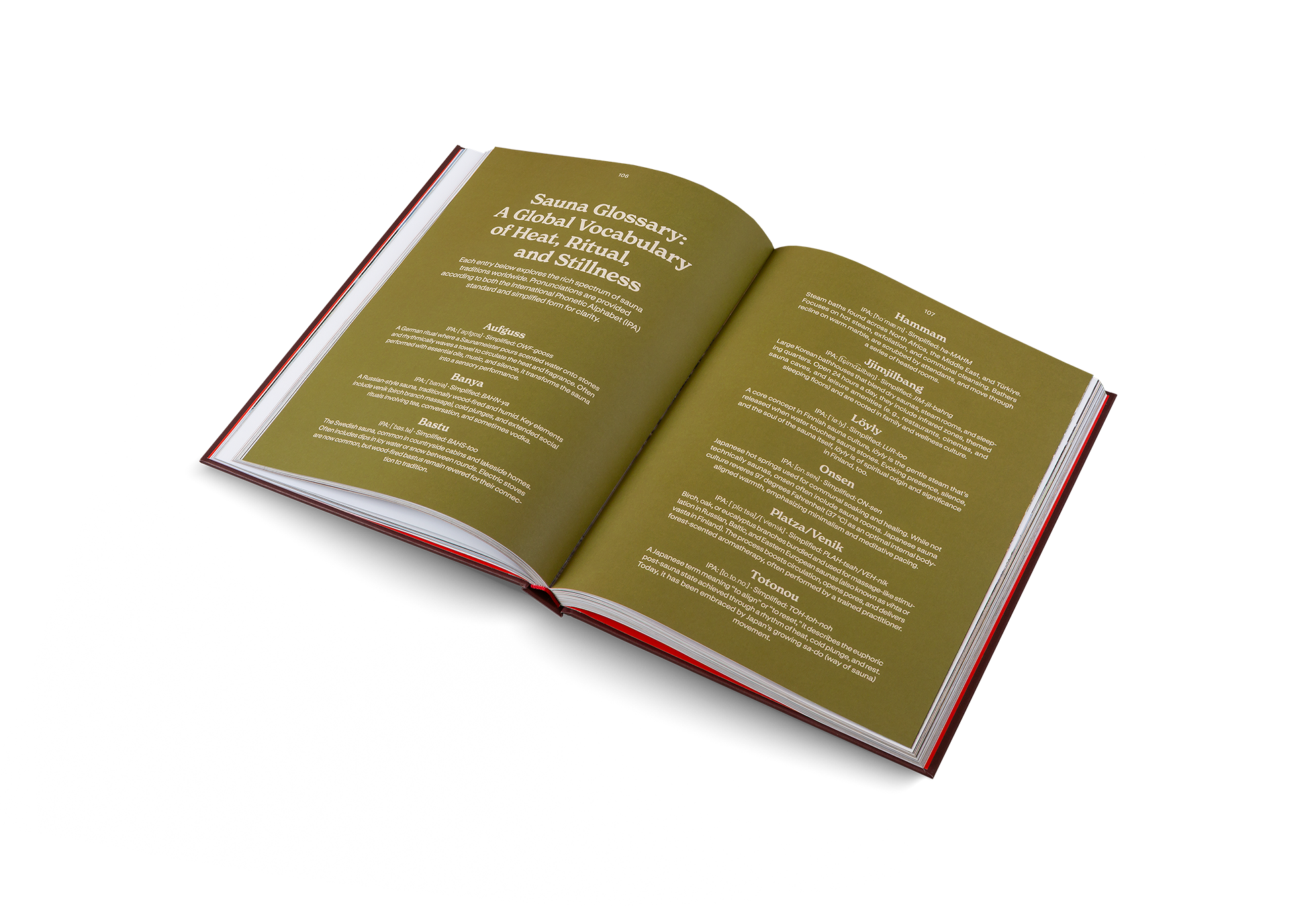 Open book with text on a white background