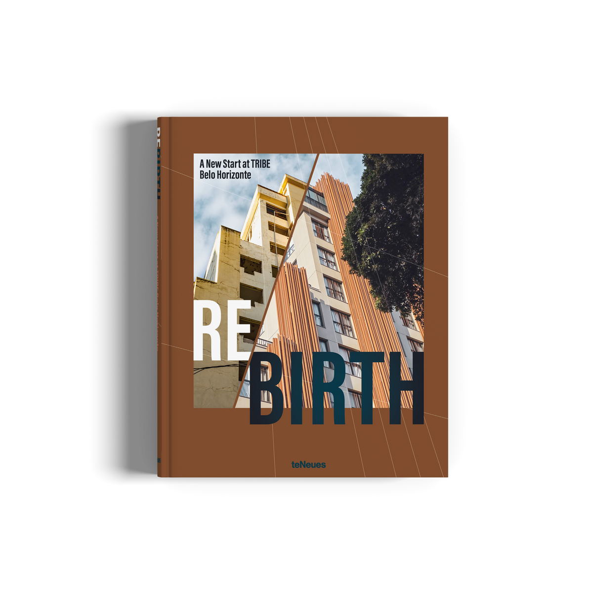 Rebirth