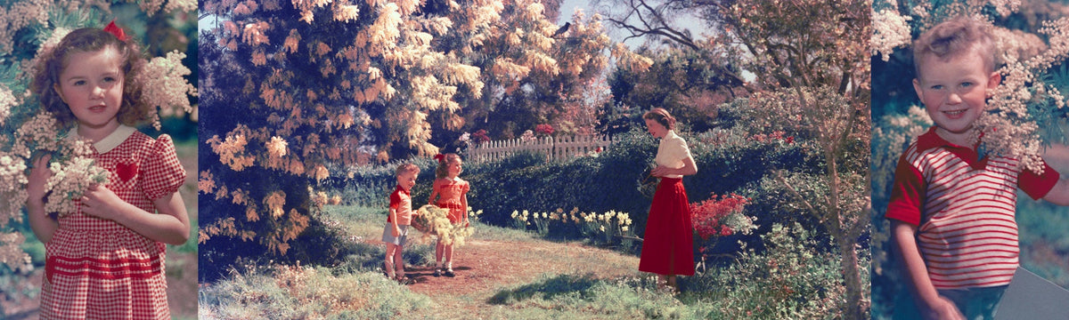 Kodak Colorama Archive