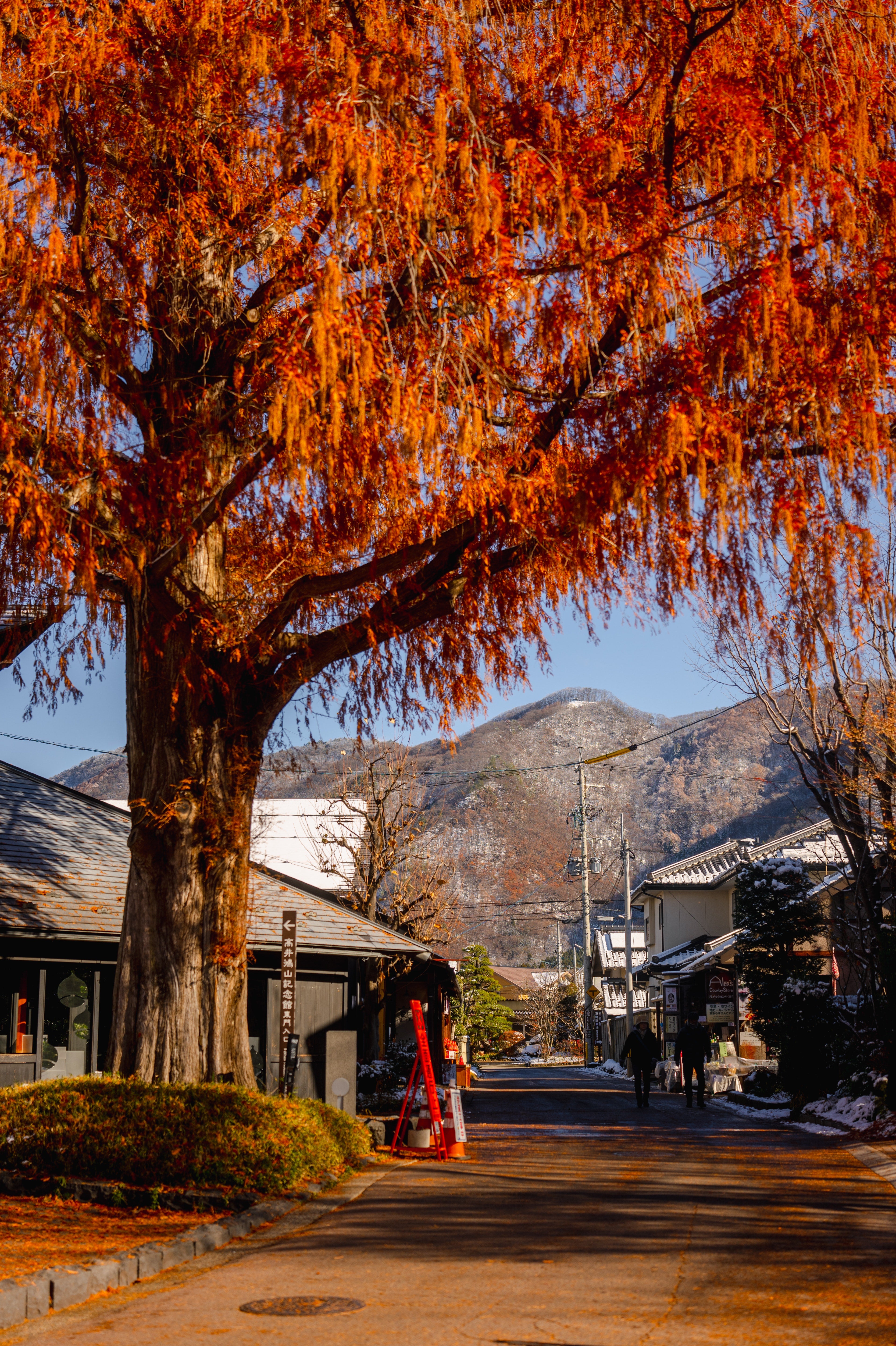 Another Japan (Deutsche Ausgabe)