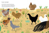 Die Welt der Hühner - Ich wollt', ich wär' ein Huhn