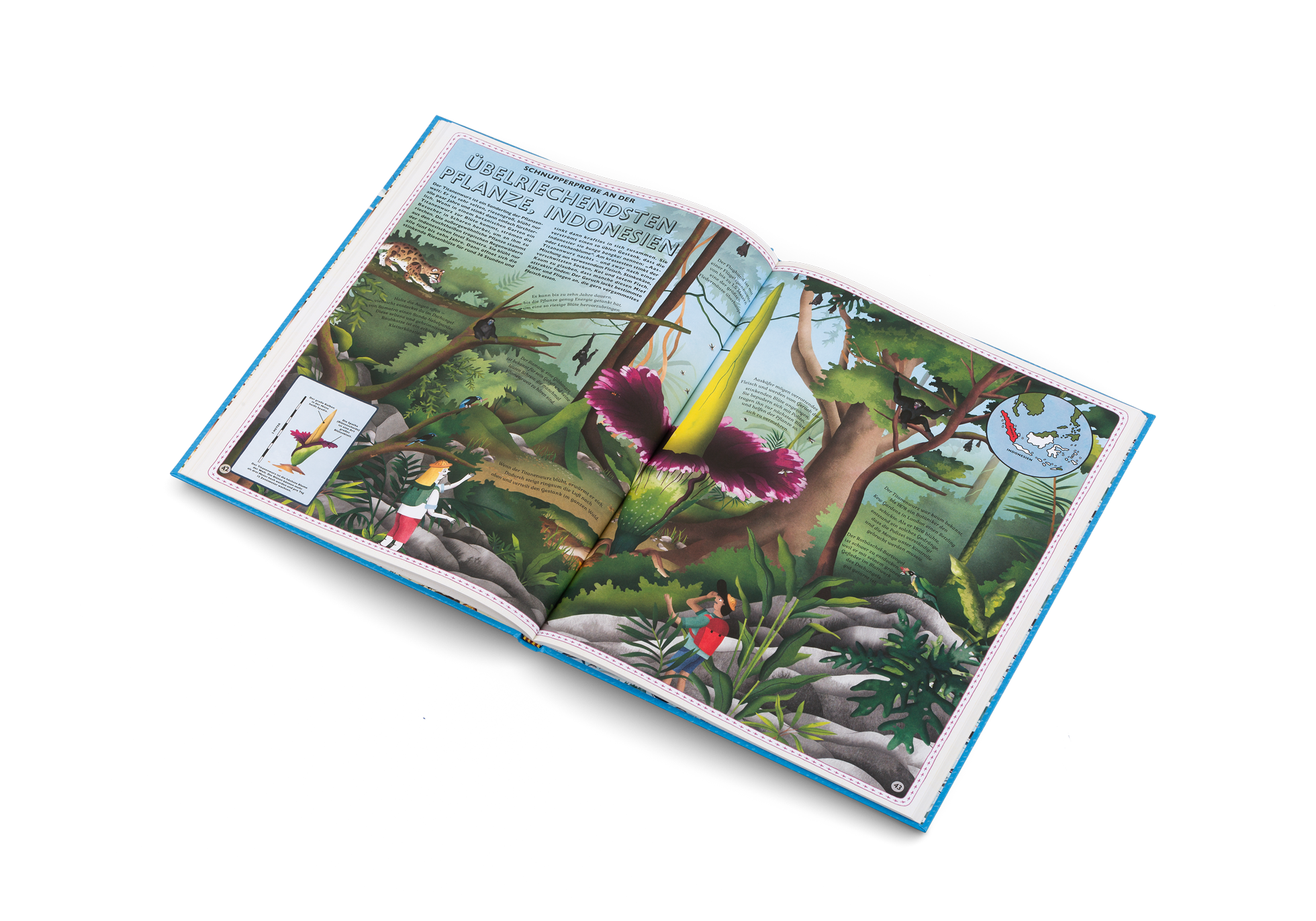 Schnupperprobe an der übelriechendsten Pflanze Indonesien im Atlas der Superlative von Kleine Gestalten