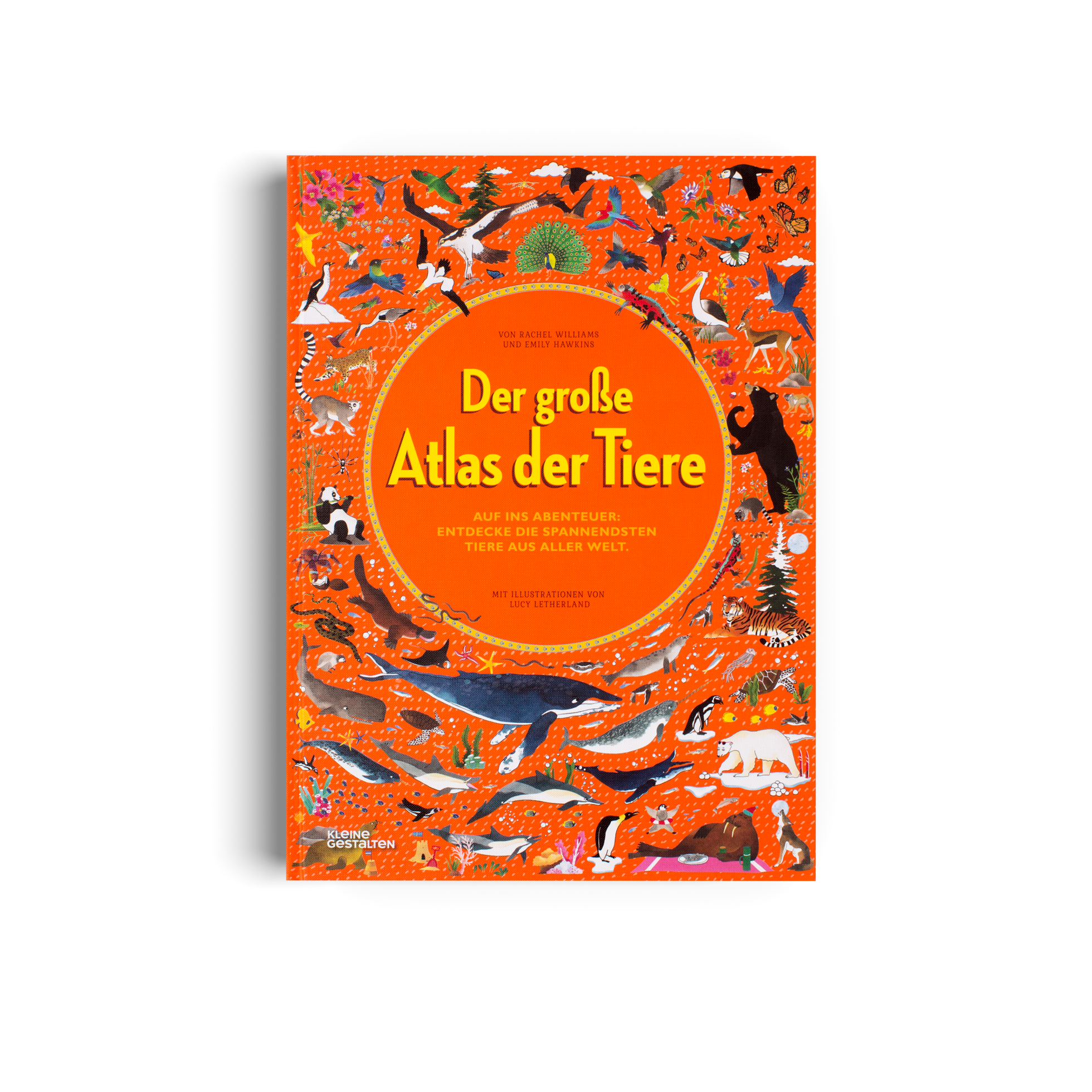 Der große Atlas der Tiere Kleine Gestalten Kinderbuch