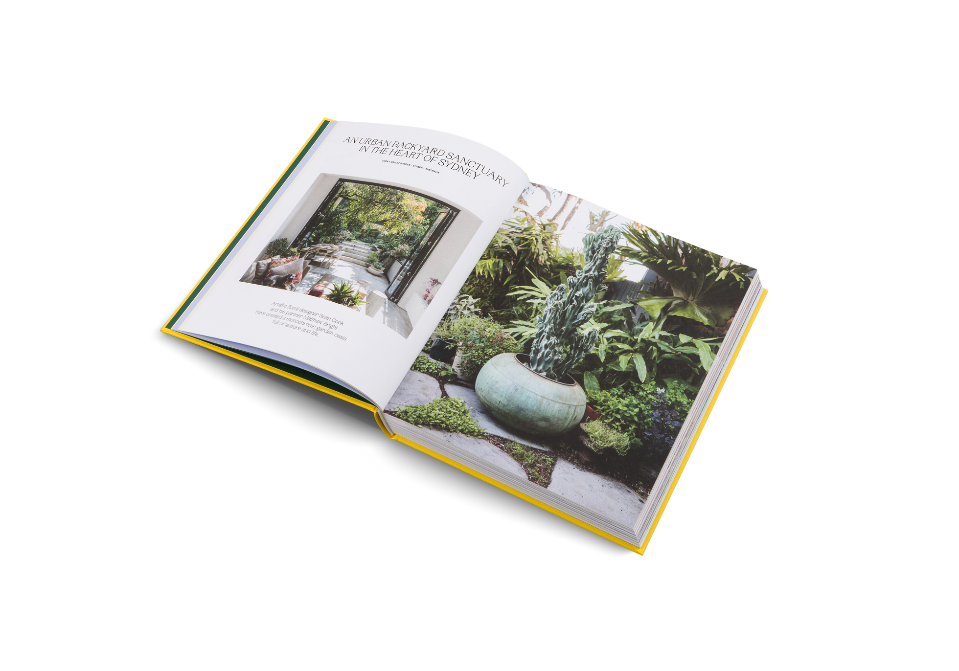 A garden as a urban backyard sanctuary