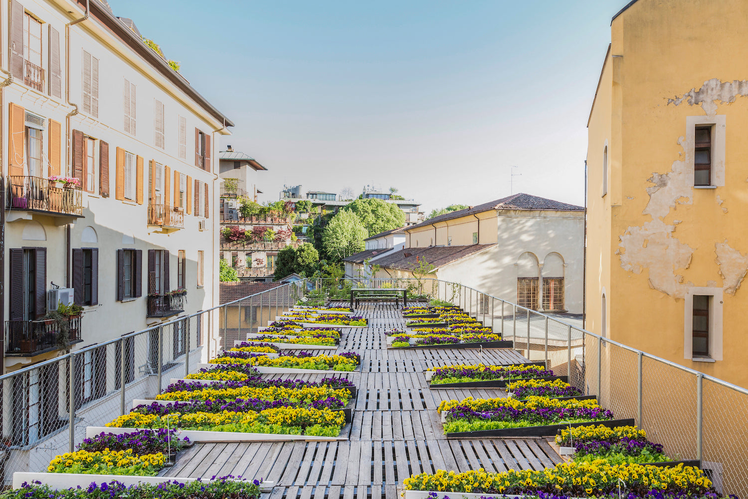 rooftop garden for the senses