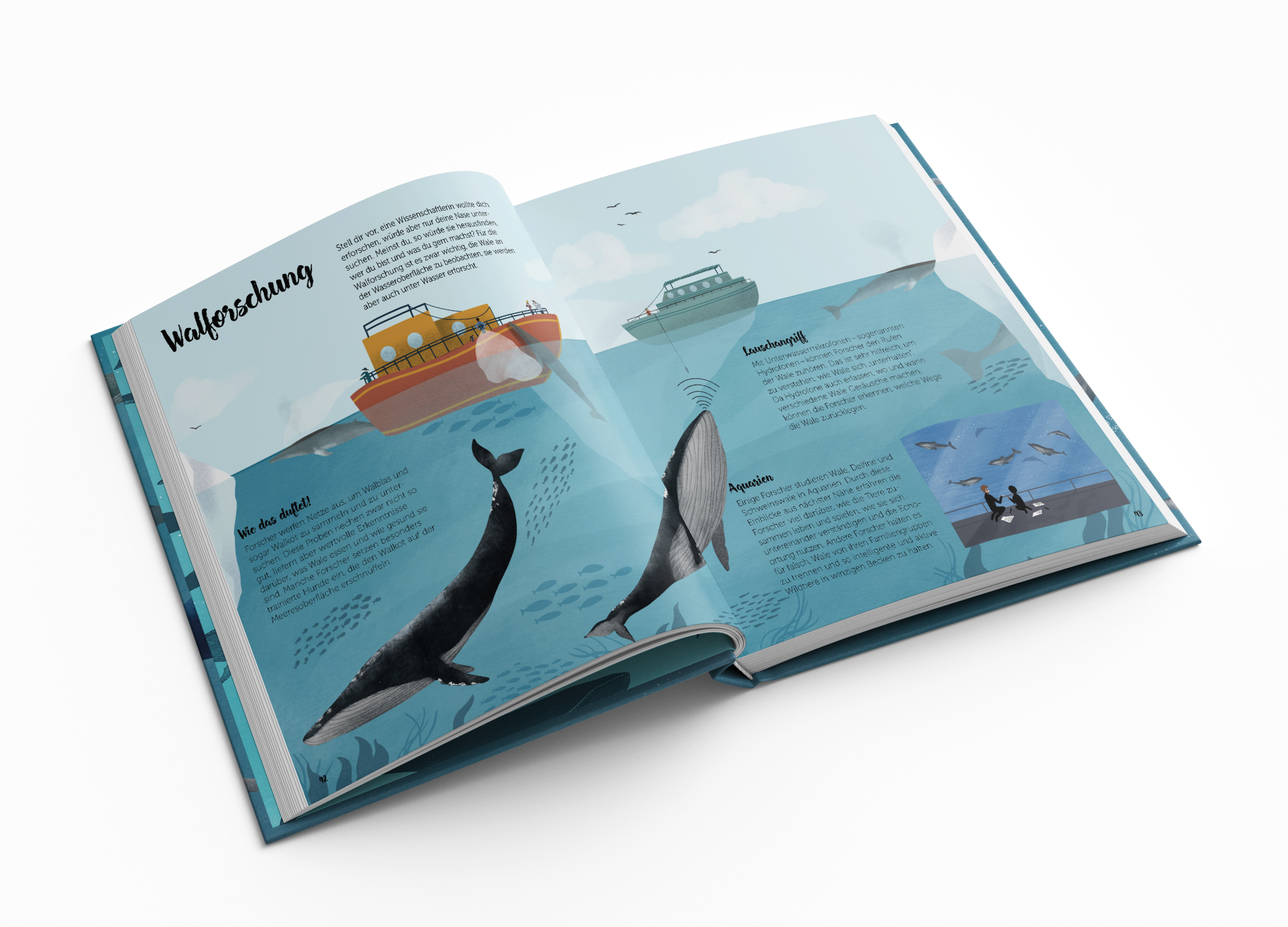 Die Welt der Wale Kleine Gestalten Kinderbuch Sachbuch Illustration Gestalten Insight