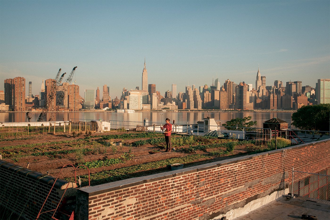Dachgarten in New York