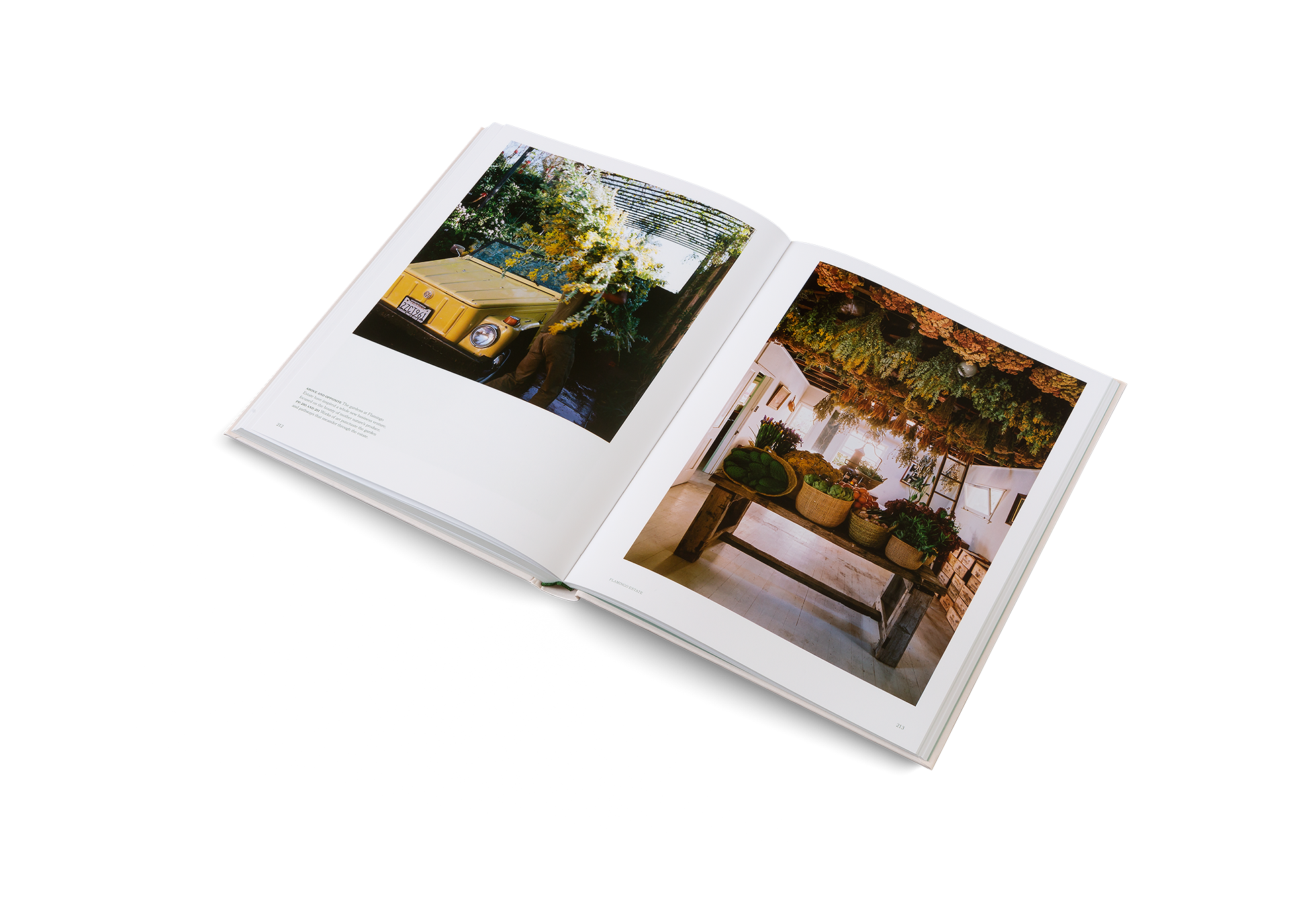 The gardens at Flamingo Estate have inspired a whole new business venture, focused on the bounty of mother nature’s produce. Learn more about this garden in The Avant Garden by John Tebbs.