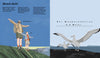 Wie groß, wie weit, wie schnell? Die Welt und Ich Kleine Gestalten Little Gestalten Children's Book Picture Book Non-Fiction Jun Cen Illustration Book Insight