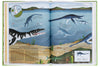 Der Atlas der Dinosaurier Kinderbuch Kleine Gestalten