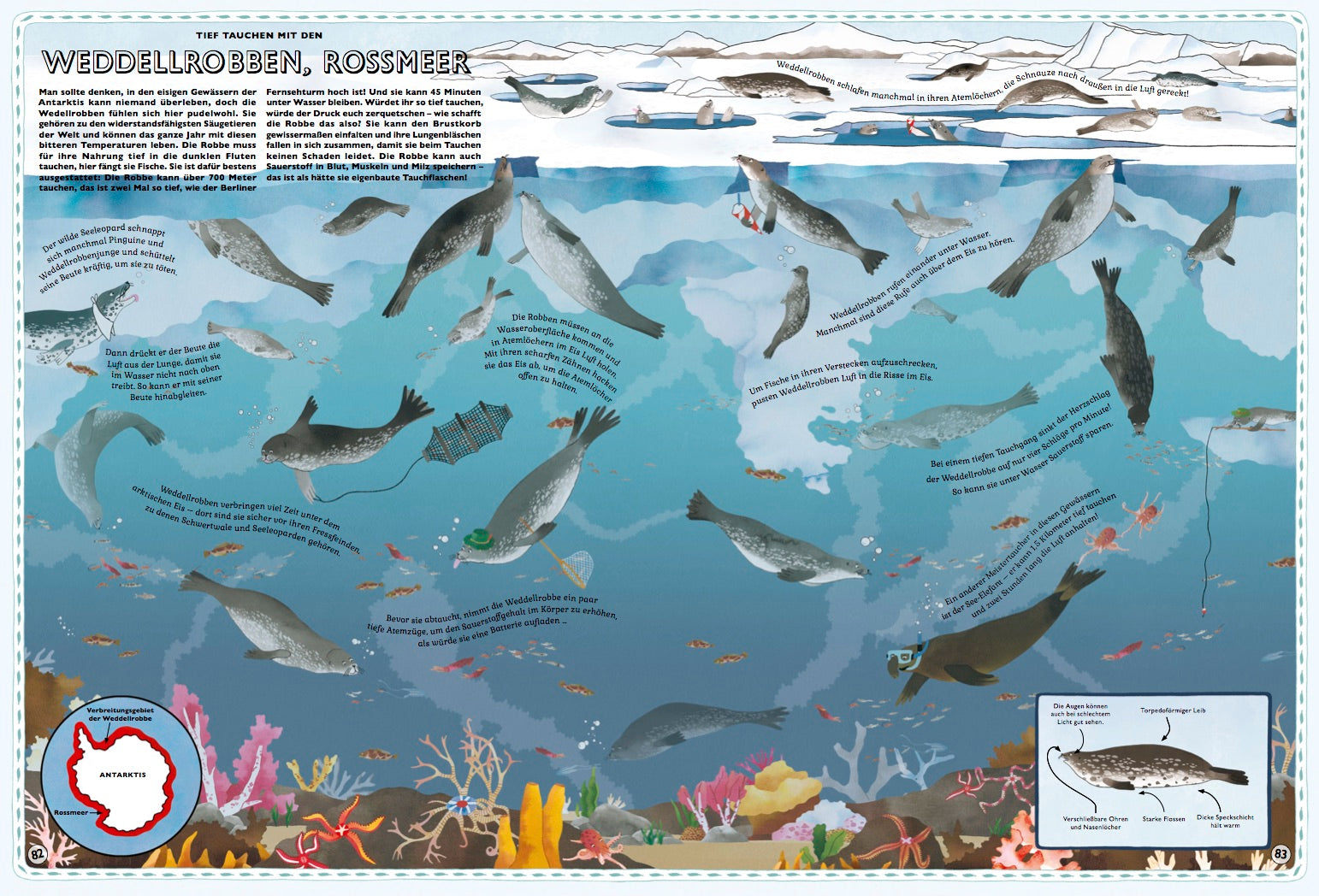 Der große Atlas der Tiere Kleine Gestalten Kinderbuch
