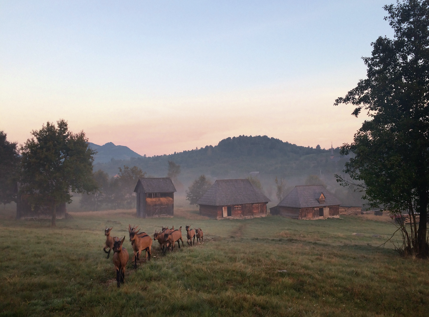 Ein Projekt von Menschen für Menschen – nachhaltig und traditionsbewusst in Slow Escapes. Şesuri liegt in Rumänien im nordwestlichen Teil der Karpaten und hat 100 Hektar Platz für eine Handvoll Landhäuser, einen Bauernhof und unzählige Tiere.