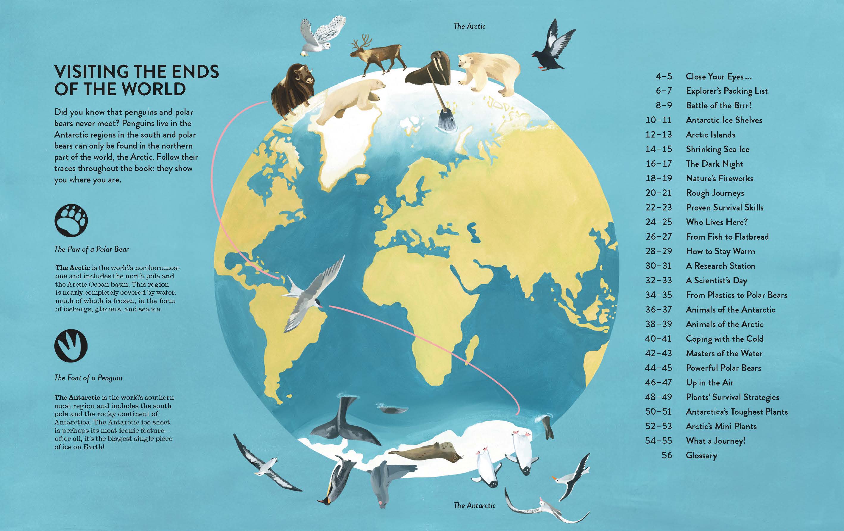 Visit the ends of the world in Penguins and Polar Bears by Little Gestalten