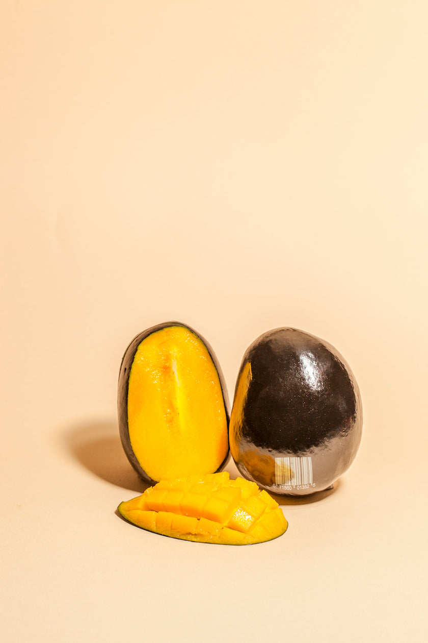 GMF Series by Enrico Becker and Matt Harris