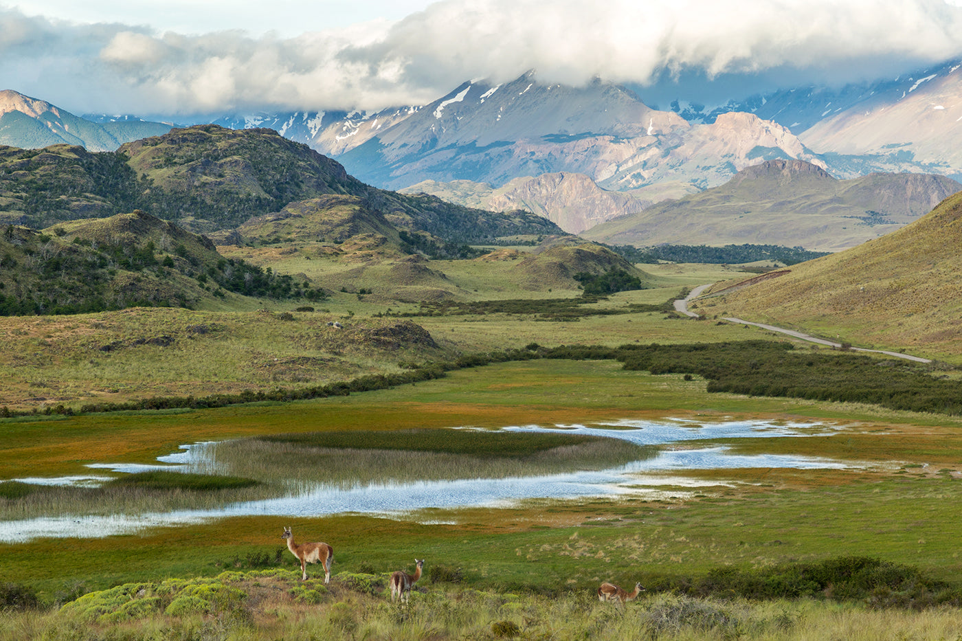 Planet Over Profit! Photo: Parque Patagonia by James Q Martin