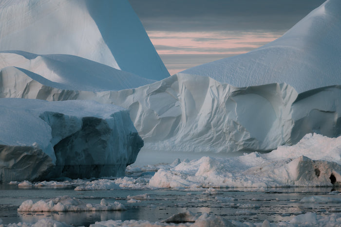 The Silence of Icebergs In The Ocean