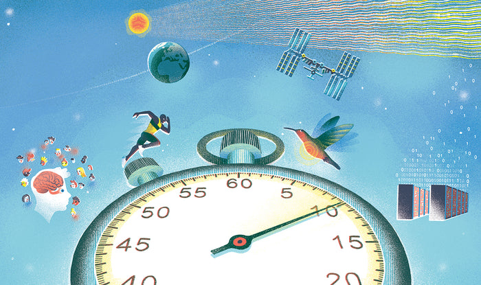 The World In Great Numbers