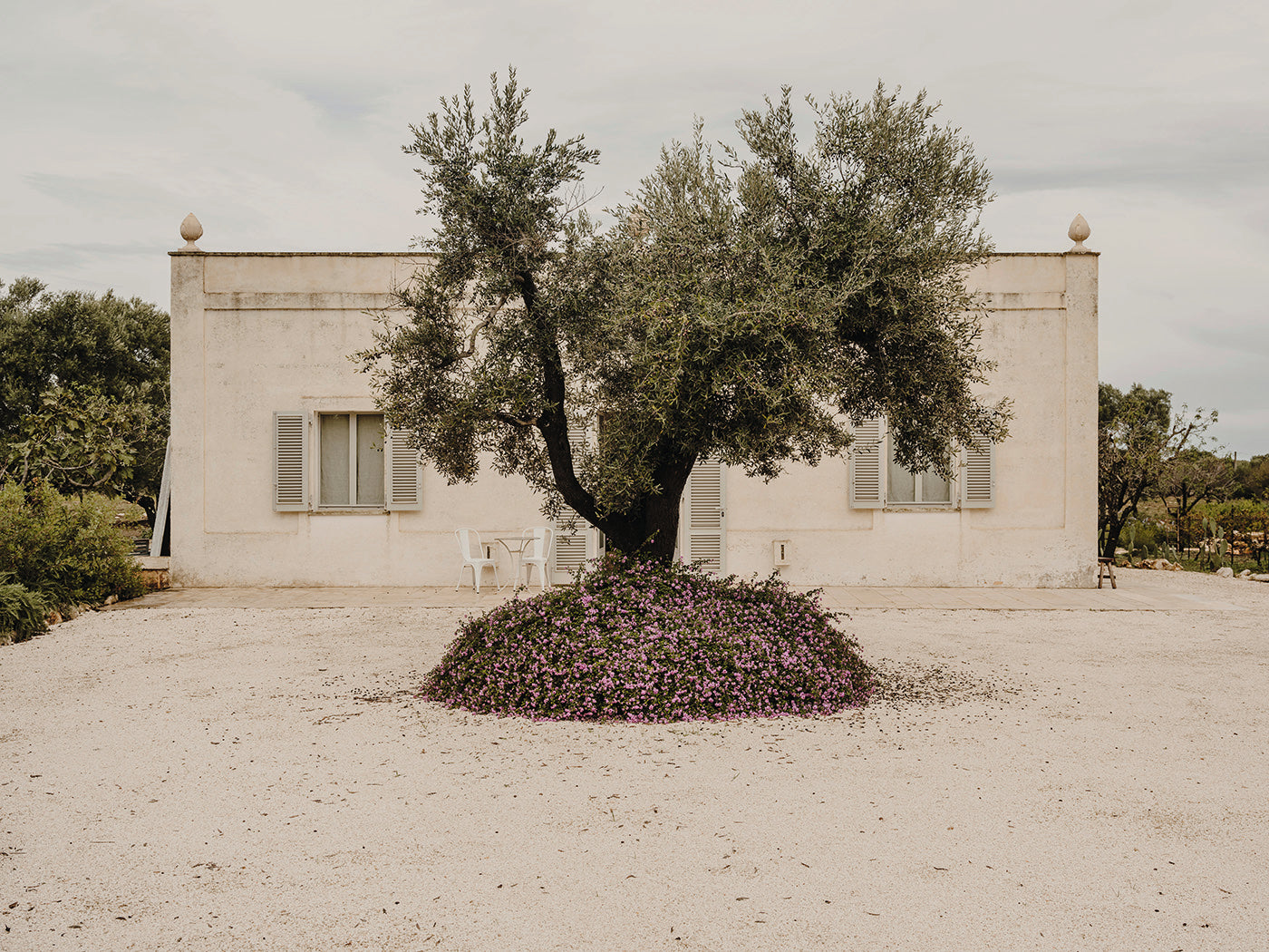 The Art Of Mediterranean Modernism Through The Guise Of Andrew Trotter