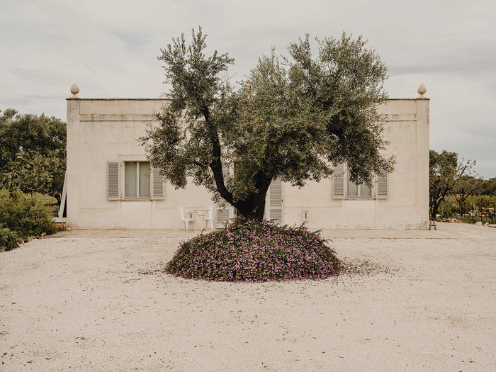 The Art Of Mediterranean Modernism Through The Guise Of Andrew Trotter