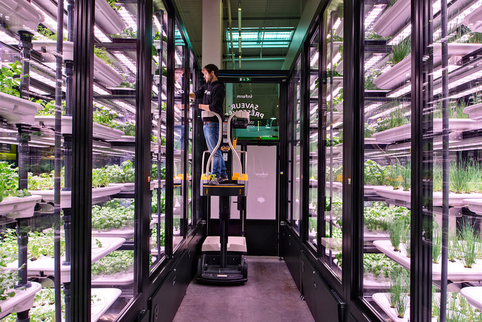 A Vertical Farm in Berlin Keeps Raising The Bar of Food Production