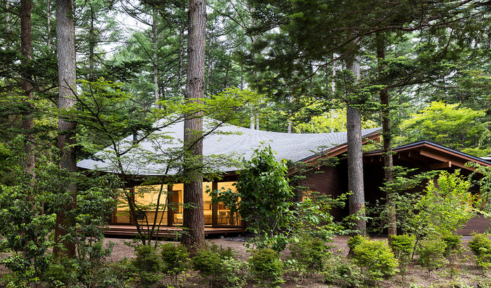 Wood Returns To Vogue in Japan