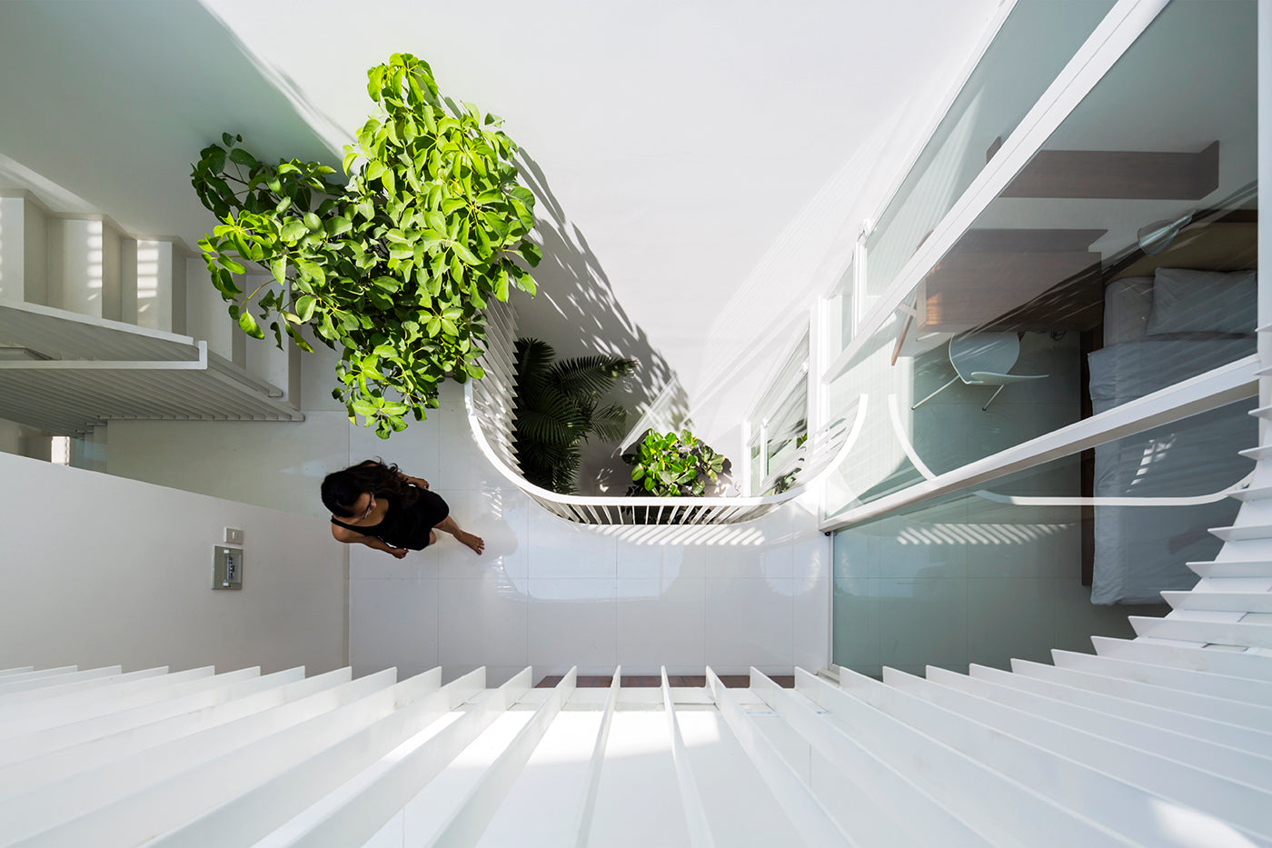 A Green Sanctuary in the Shadows of Ho Chi Minh