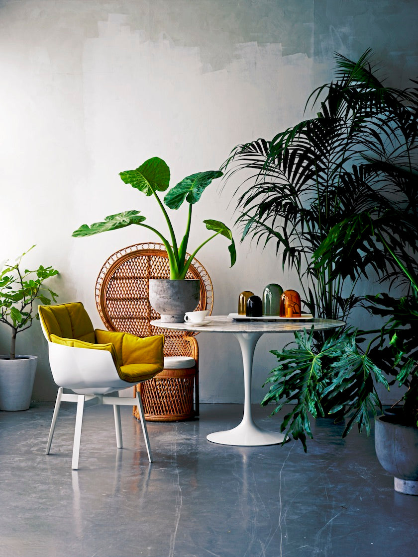 Larger plants like palm trees are better set on the floor and add to otherwise empty corners excitement. (Photo: Ferm Living 2016) 
