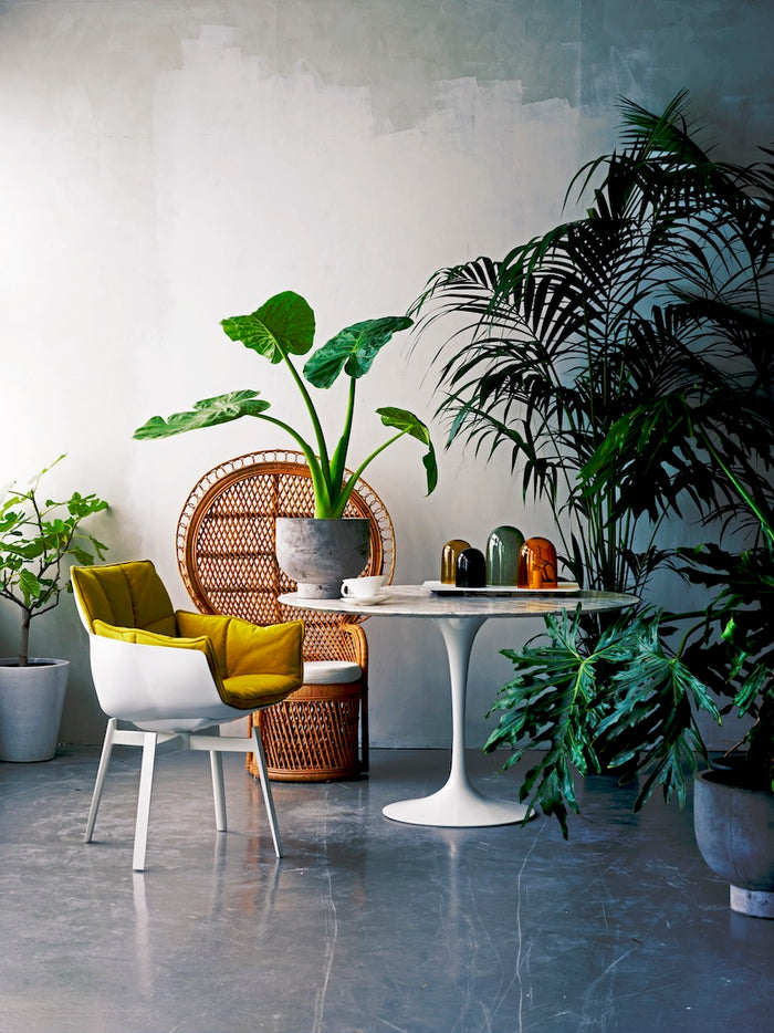 Larger plants like palm trees are better set on the floor and add to otherwise empty corners excitement. (Photo: Ferm Living 2016) 