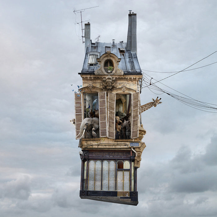 Flying Houses by Laurent Chéhère
