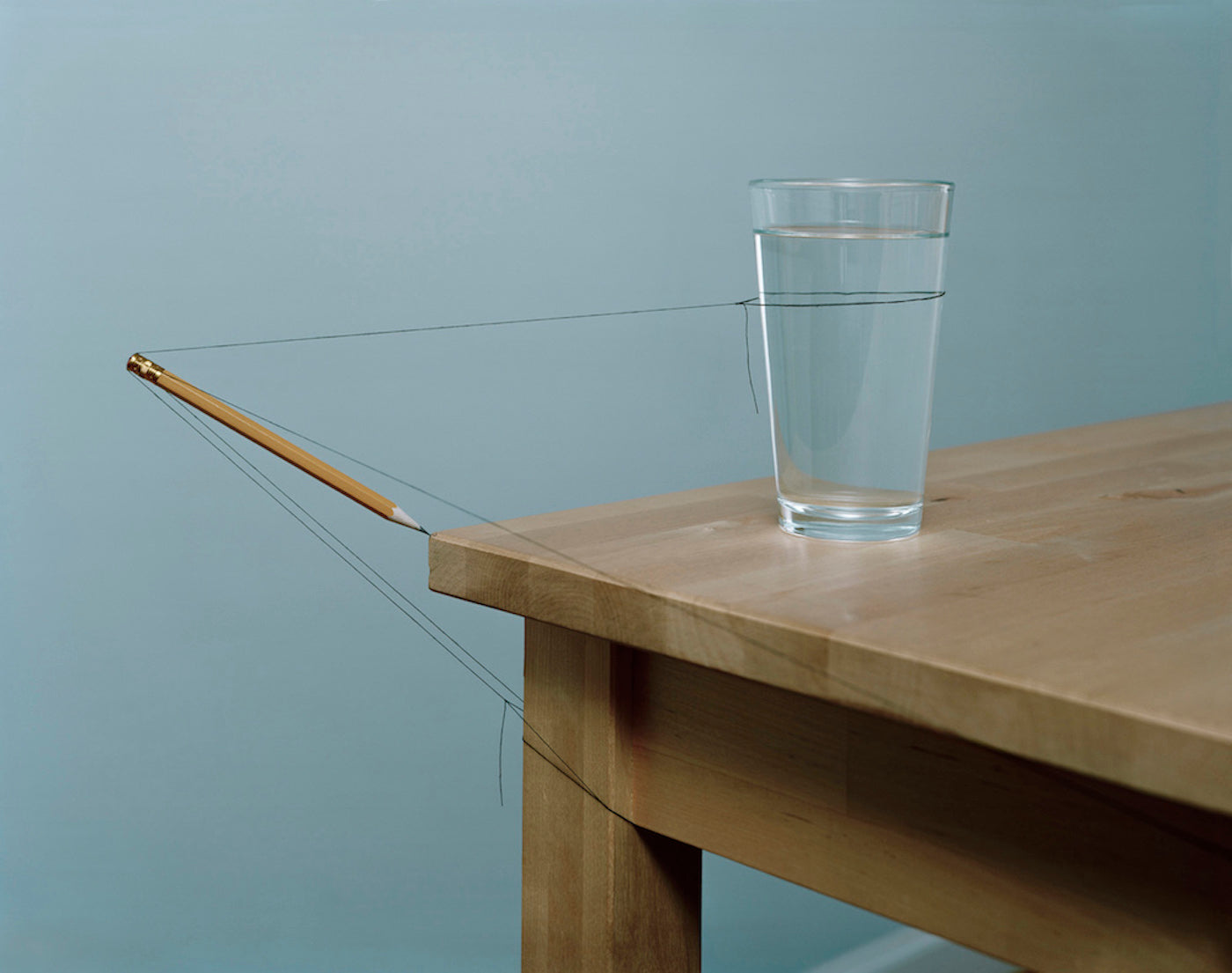 Bird in Flight by Mauricio Alejo