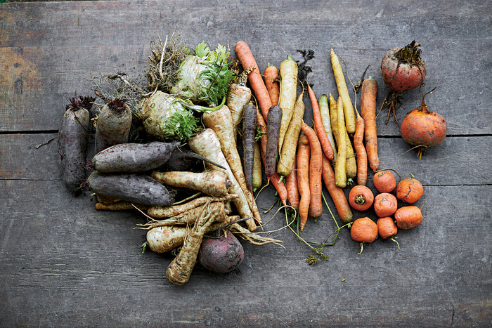 A Slice of How to Eat Your Eyes