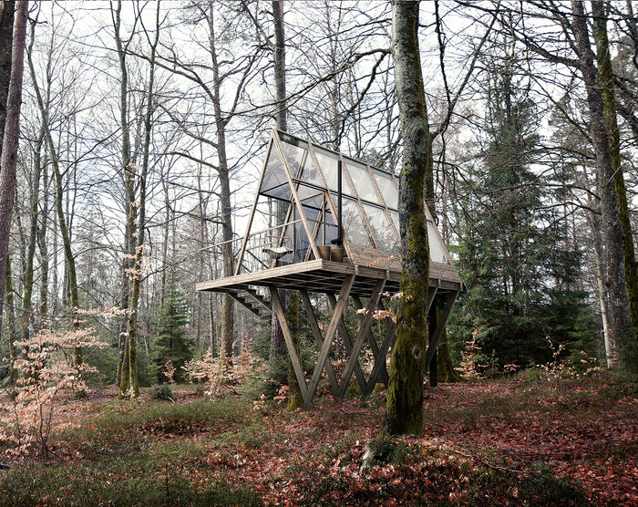 Finding Wellbeing in the Woods