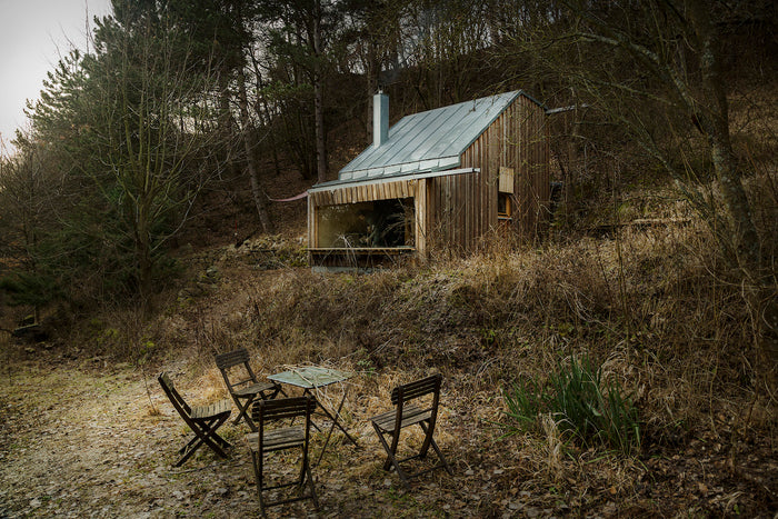 A House in the Woods