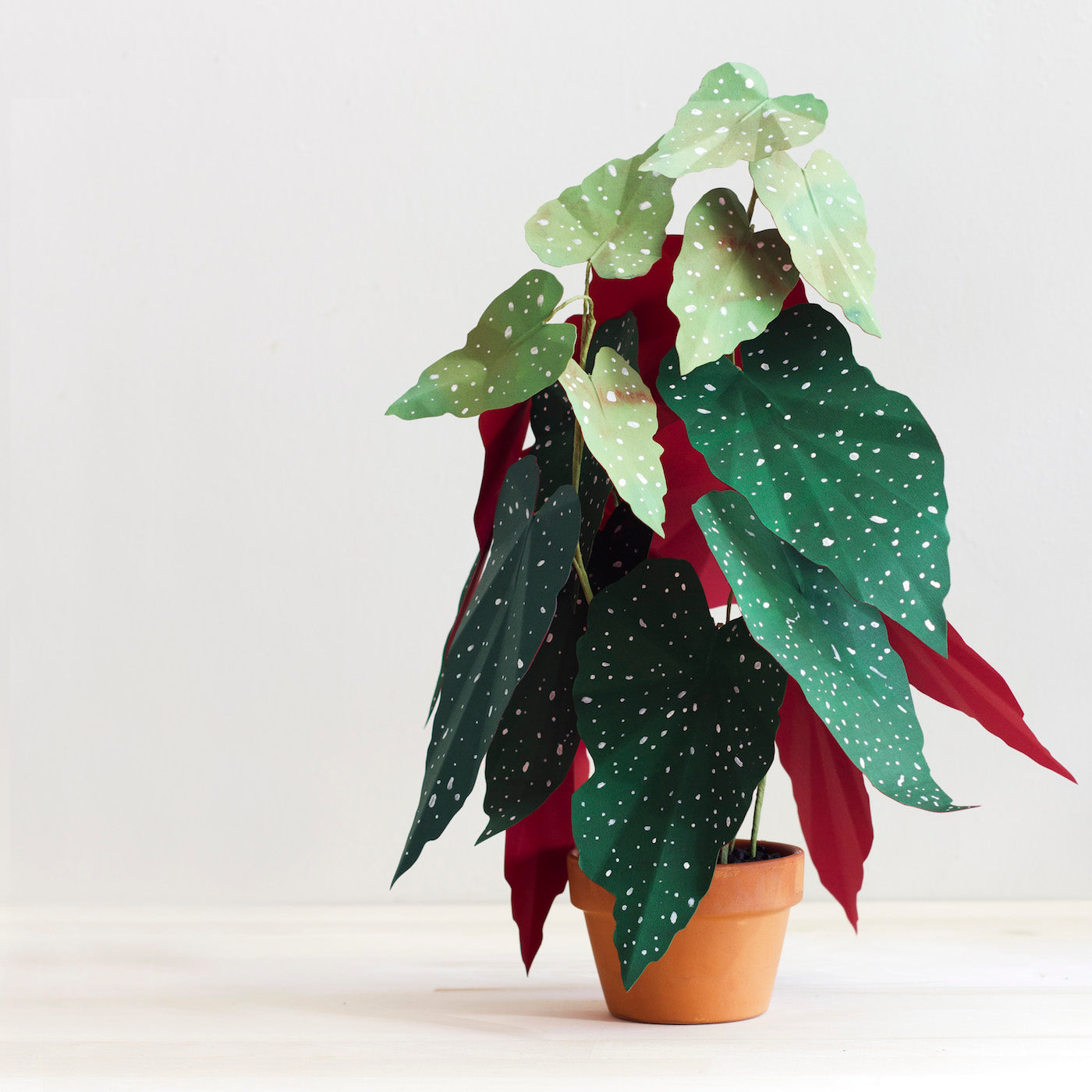 Crafted Plants by Corrie Beth Hogg