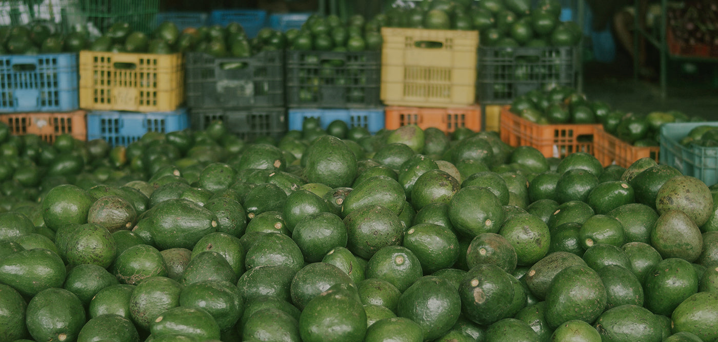 Ripe for Exploitation