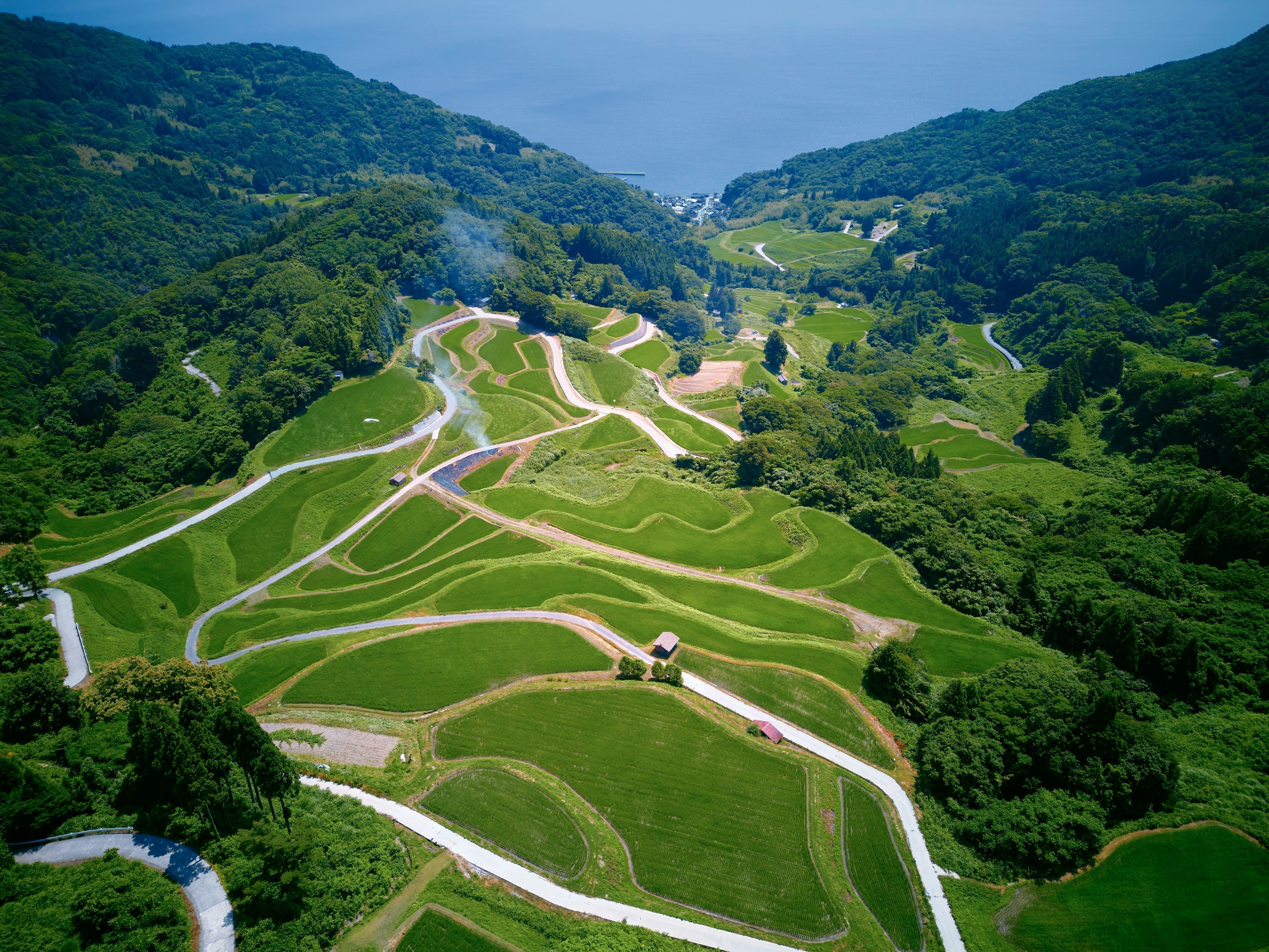 Beyond the Metropolis: Discovering Rural Japan’s Hidden Cultural Renaissance