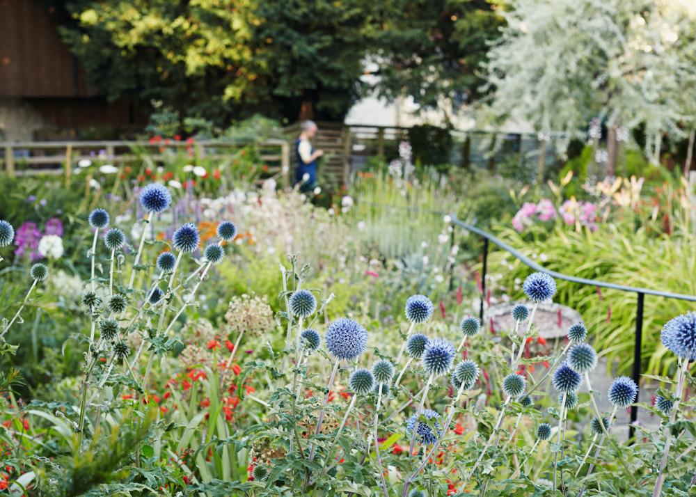 Bücher über Nachhaltigkeit